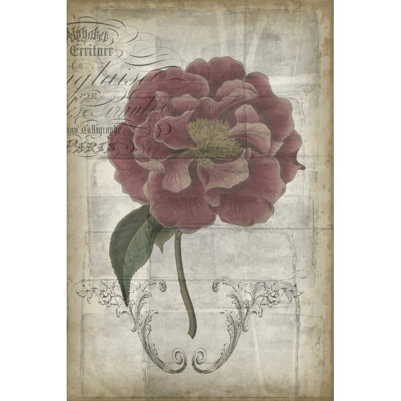 French Floral III by Jennifer Goldberger - Wrapped Canvas Print, 122cm H x 81cm W x 3.8cm D