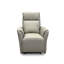 86cm Wide Standard Recliner-1110660487