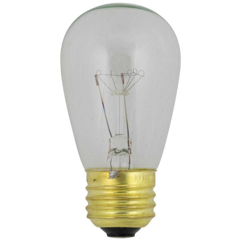 Ampoules incandescentes de remplacement S14, Transparent, H 4 po x l 10 po x P 10 po