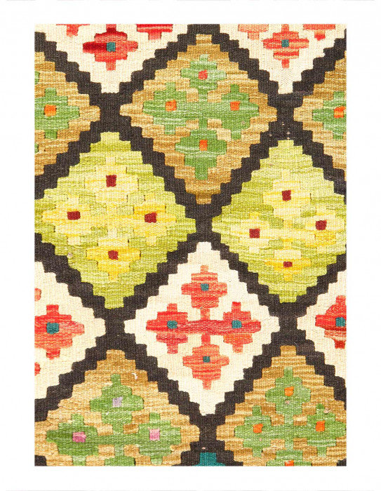 Arijanit Handmade Area Rug