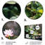 Étangs de lotus verts et roses - impression florale sur métal-92737884
