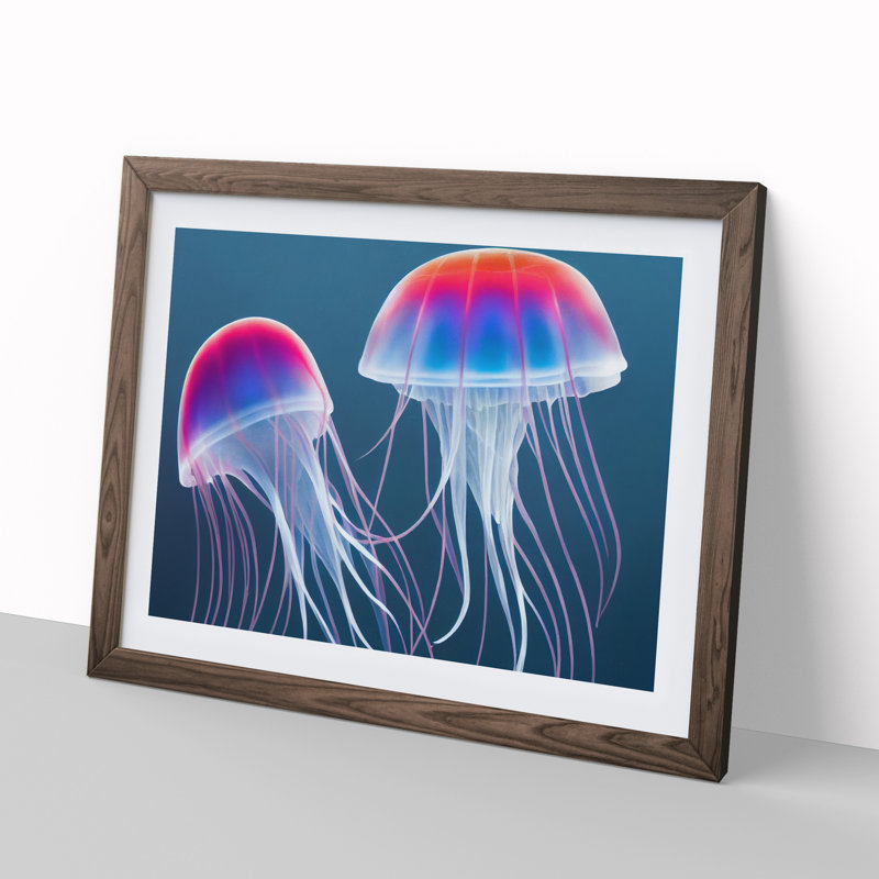 Jellyfish Vol.2 - Single Picture Frame Print, 25cm H x 34cm W x 2cm D, Walnut Framed