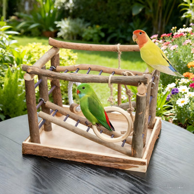 Natural Living Playground For Birds, Bird Activity Center