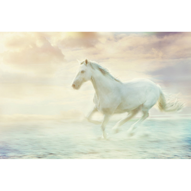 Wrapped Canvas Print, 76cm H x 114cm W
