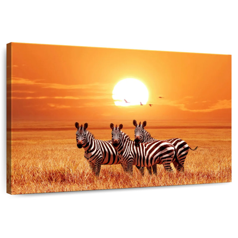 Crowle Wild Tanzanian Zebras