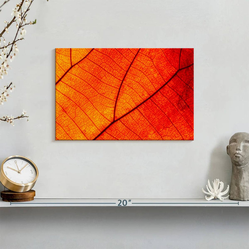 Harnek Autumn Leaf Venation