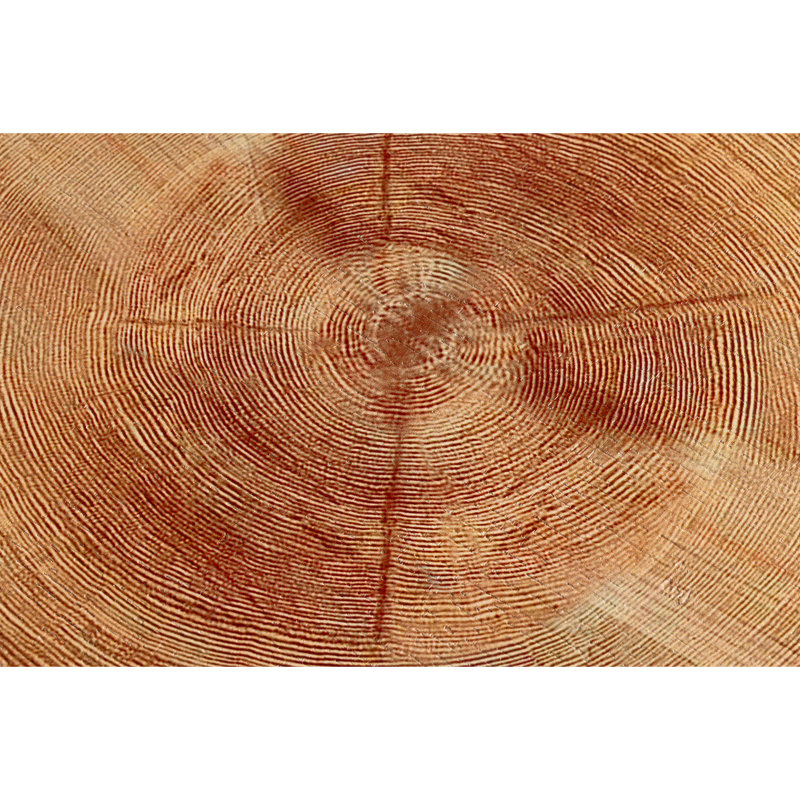 Ensemble de tables basses 2 pièces Ciriclio