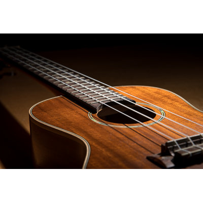 Guitar 1 Piece Wrapped Canvas Wall Art