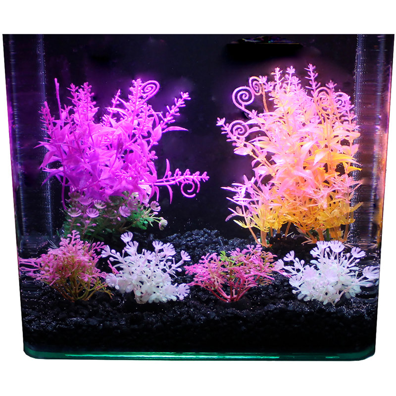 Accessoire d'aquarium