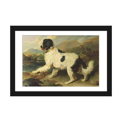 Sir Edwin Landseer, Terre-Neuve, chien appelé lion, 1824, peinture sur toile tendue