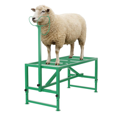 Support de cisaillement en métal pour chèvre et mouton, plateforme de 47 po x 23 po, hauteur réglable de 21 à 33 po, équipé d'une têtière et d'une boucle de nez, acier antirouille, capacité de 500 lb pour le toilettage