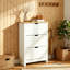 18 Pair Flip Down Shoe Storage