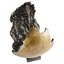 Concentric Chaos Abstract Figurines & Sculptures