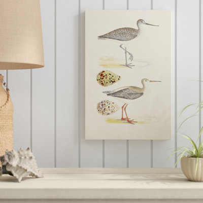 «Sandpipers and Eggs I», impression sur toile