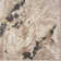 Abstract Indoor Rug
