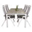 Drishya 6 - Person Patio Dining Set with Rectangular Table