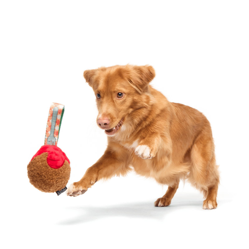 The Best Of Bark Super Chewer Accessories