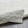 Narine Machine Woven Grey/White Indoor Rug