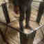 Customer photo 2 of 2