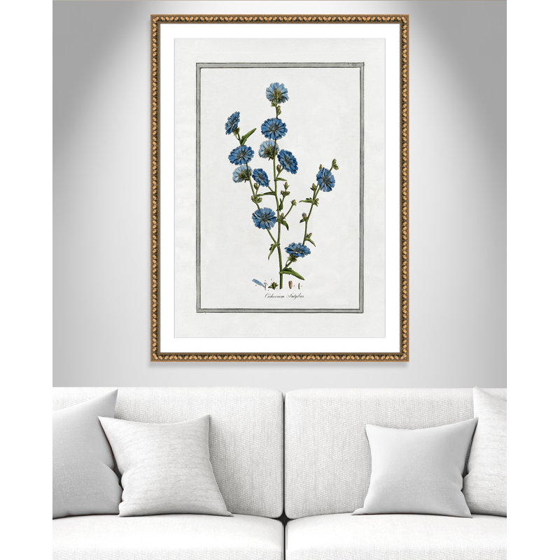 Colombe Soft Botanical I - Art encadré avec fond perdu, Cadre en perle d'or, L 30,5 po x H 42,5 po