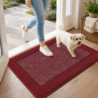 Indoor Door Mat, Dirt Trapper Door Mats Non-Slip Entryway Rugs Washable, Resist Dirt Absorbent Welcome Mat, Low Profile Floor Mats for Front Back Door and Entryway