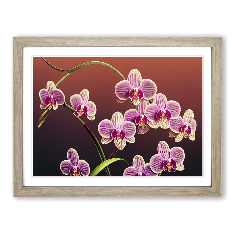 Dashing Orchid Flowers - Framed Print, Oak, 34cm H x 46cm W x 2cm D