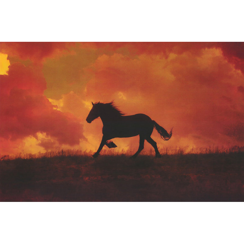 Le cheval oublié, H 12 po x l 18 po
