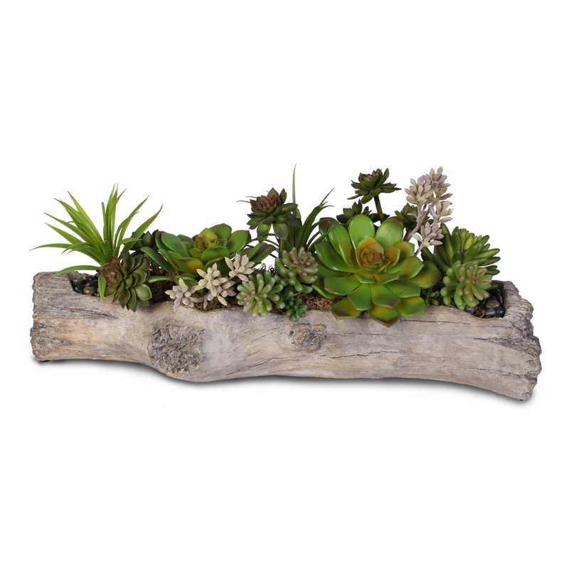 Faux Succulent Plant in Cement Pot