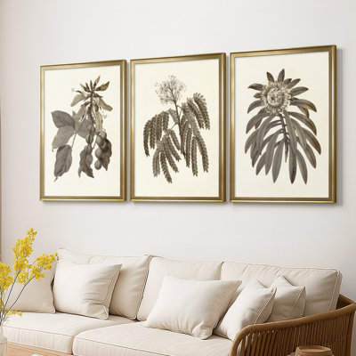 Sépia Botanicals IV - Toile tendue avec châssis sur mesure - 3 pièces