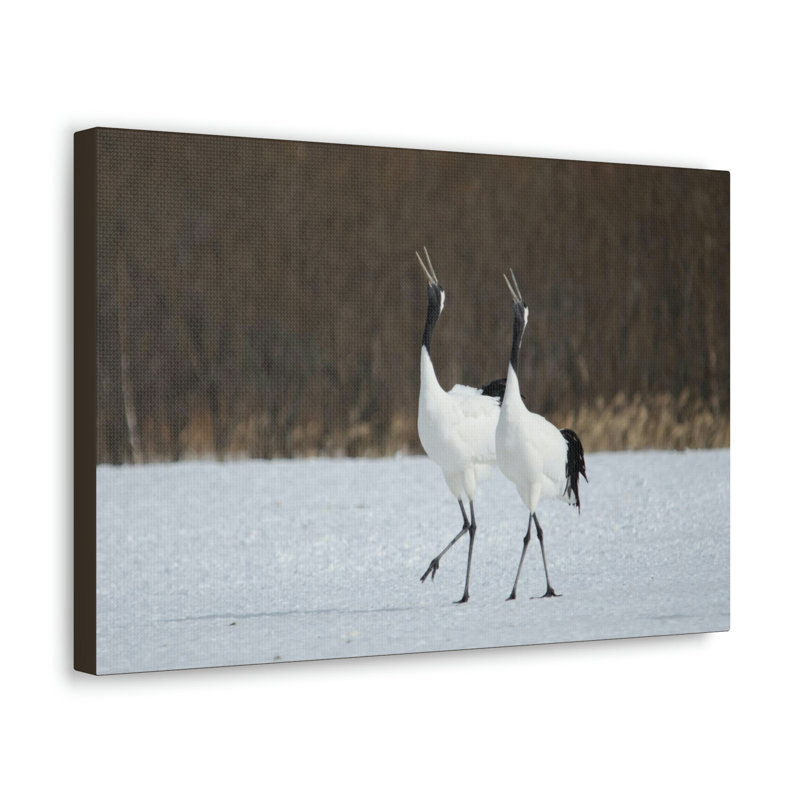 No Frame Print on Canvas, 27.94cm H x 35.56cm W