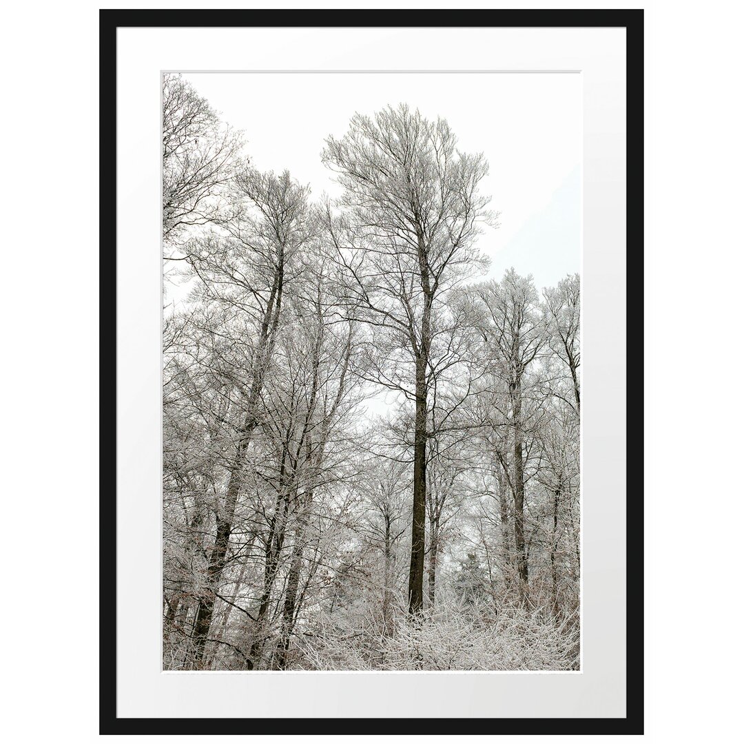 Gerahmtes Poster Verschneiter Wald