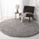 Assiya Shag Performance Solid Color Rug