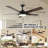 Aubyn 52 " Dimmable  Bllack Ceiling Fan with LED Lights and Remote Control