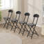 4pcs Portable and Foldable Dining Chairs-2008901357