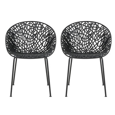 Dining Chair(Set Of 2)