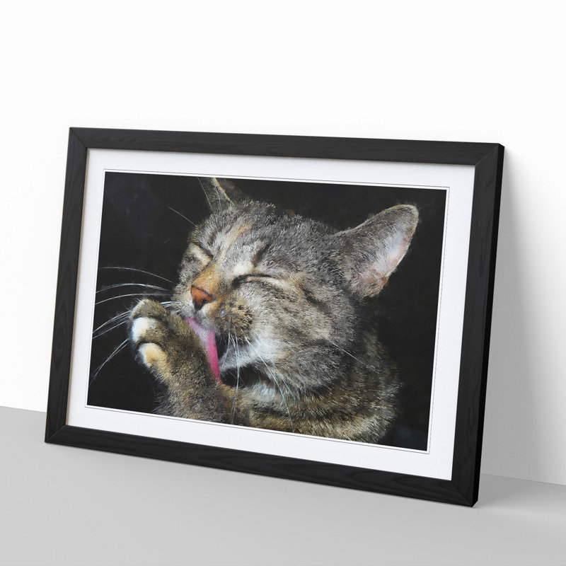 Portrait of a Cat Vol.11 - Framed Print, Black Framed, 27cm H x 36cm W x 2cm D