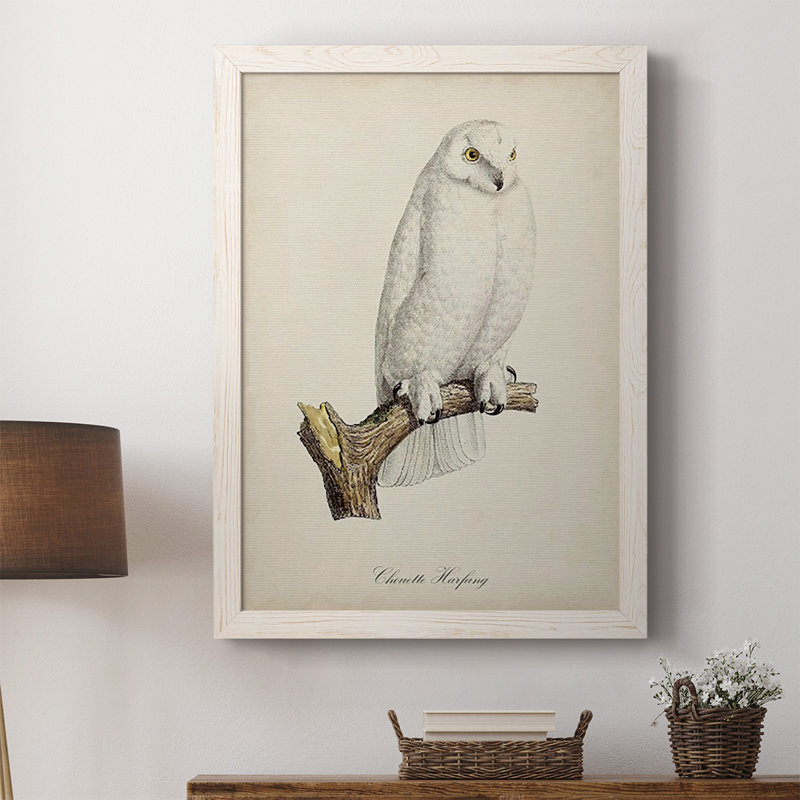 Salamanca French Owls IV - reproduction de photo sur toile, Cadre blanc, H 43,5 po x l 31,5 po x P 1 po