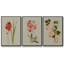 Blush Architecture Study IV 3 pièces-97757700-97757704