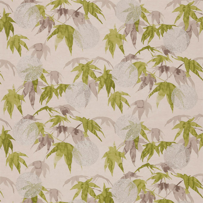Acer Fabric, Platinum