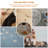 7 in 1 Pet Grooming Vacuum 2L Dog Grooming Kit Pet Shedding Clipper Brush Tools