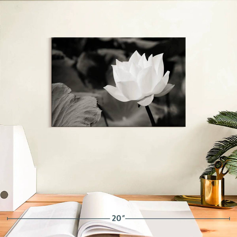 Harnek Pristine White Lotus, 8" H x 12" W