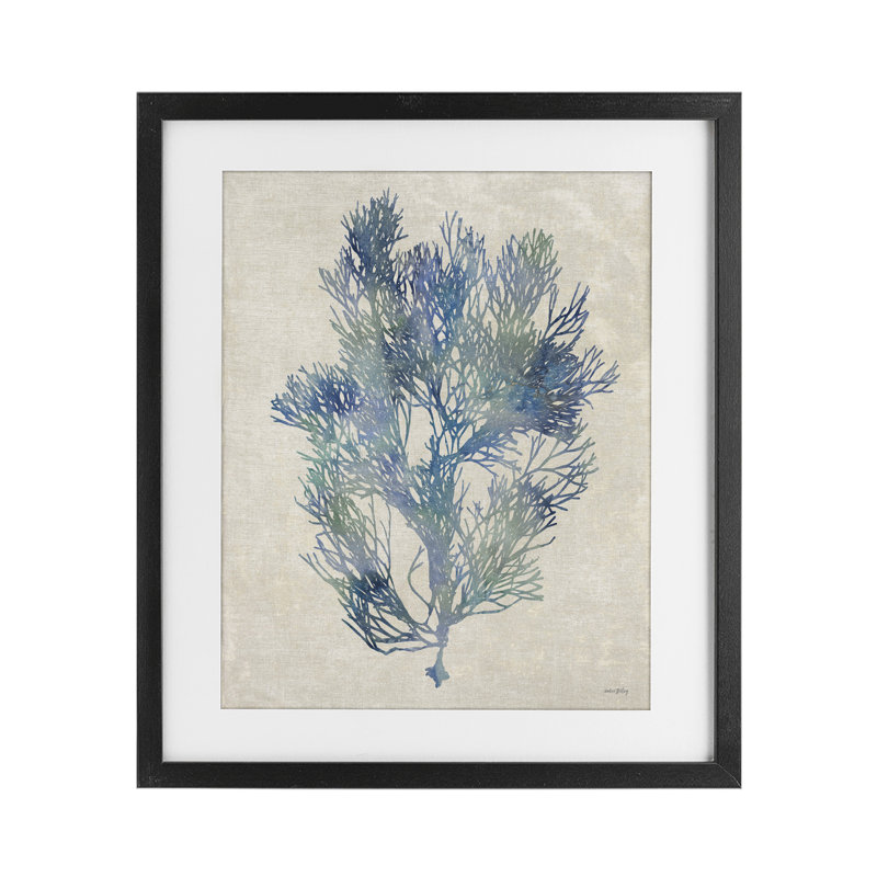 «Misty Blue Coral Study», reproduction sous verre encadrée, design par Amber Sterling, 16 x 13