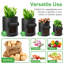 Pot Planter