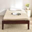Base de lit plateforme en bois de pin massif Red Barrel Studio® Selena-97912056-97912062