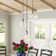 Inola 3 - Light Cluster Pendant