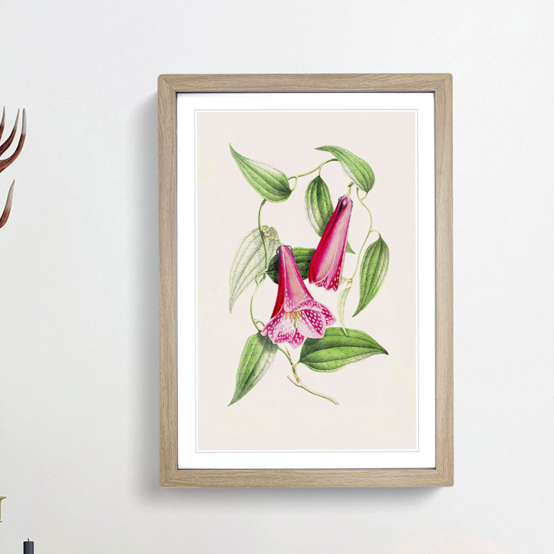 Illustration of Spotted Pink Flowers - Picture Frame Graphic Art Print, 36cm H x 27cm W x 2cm D, Oak Framed