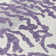  Malek Indoor/Outdoor Area Rug with Non-Slip Backing