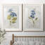Lin bleu géranium - ensemble de 2 reproductions d'art-1616870544-1616870548-1680238238