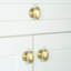 Eden Prairie Oval Knob-1536011319