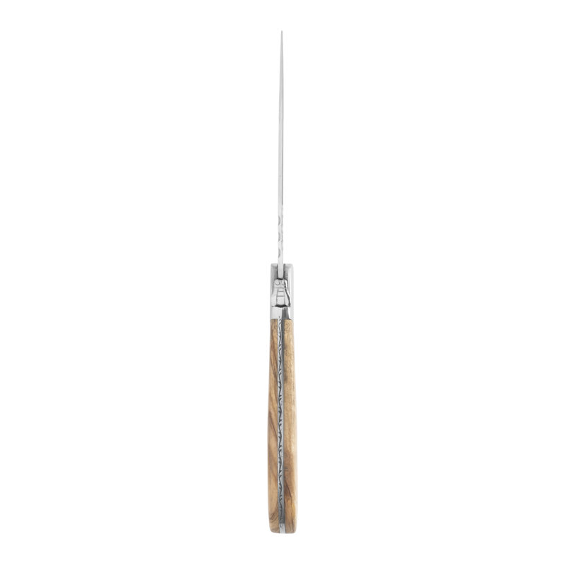 4 Piece Steak Knife Set